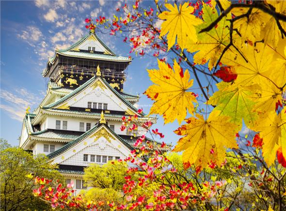 Du lịch Nhật Bản 2022: Osaka Castle - Hoshida ngắm lá Momiji -Kyoto -Oshino Hakkai - Nikko -Núi Phú Sĩ (Chương trình Thiết kế riêng)